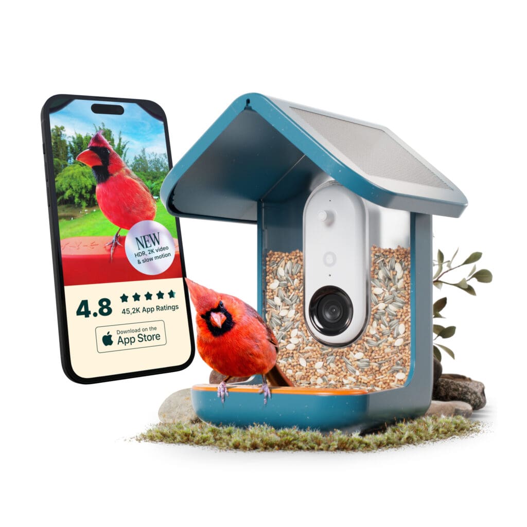 Bird Buddy - tradeshowtreasurehunters.com